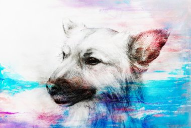 Eski kağıt, vintage kağıt ve renkli noktalar eski yapısıyla köpek karakalem.