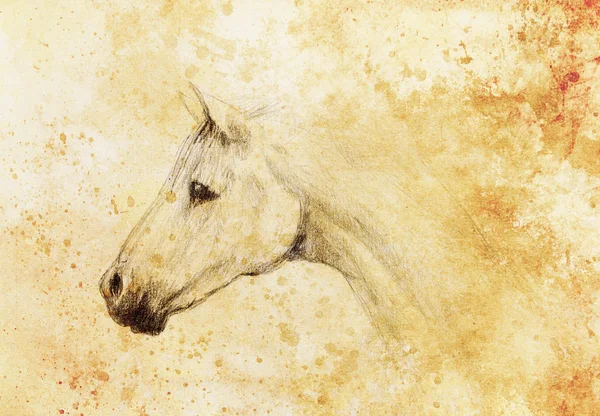 Draw pencil horse on old paper, vintage paper and old structure with color spots. — Stock Photo, Image