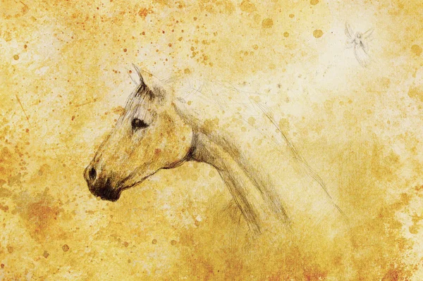 Horse pencil drawing and little fairy on old paper, vintage paper and old structure with color spots. — Stock Photo, Image