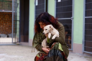 köpek köpek barınağı ve kadın. Hayvan barınağı.