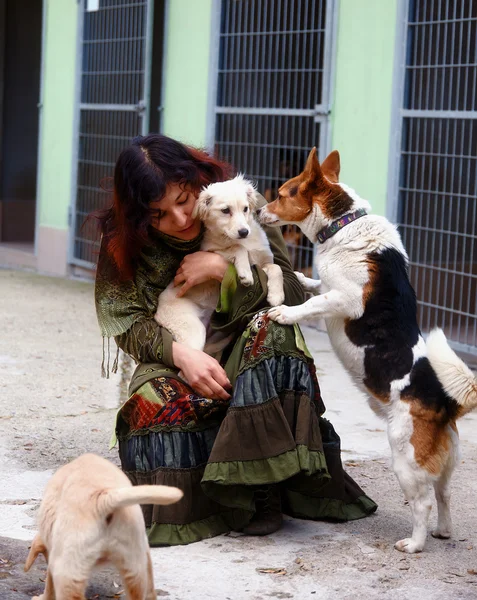 Dogs in dog shelter and woman. Animal shelter. — Stock Photo, Image