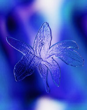 Lily ve cam efekti renk karakalem.