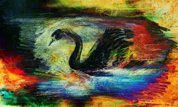 Pencil drawing swan on old paper background and Color Abstract background. — Stock Photo, Image