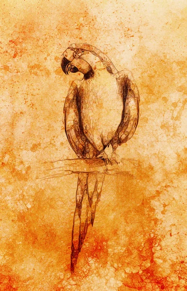 铅笔绘图只鹦鹉站在旧报纸和玻璃效果、 复古纸和旧的结构. — 图库照片