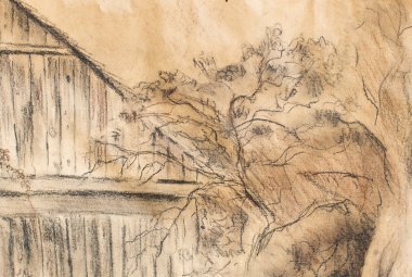 Yazlık el çizim ve vahşi asma. Draving eski kağıt üzerinde.