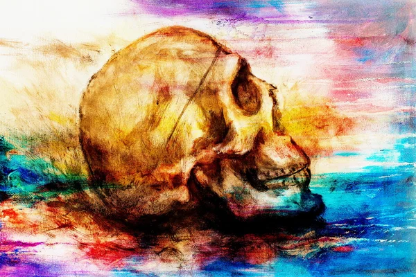 Schilderij schedel op papier en abstracte kleureffect. — Stockfoto