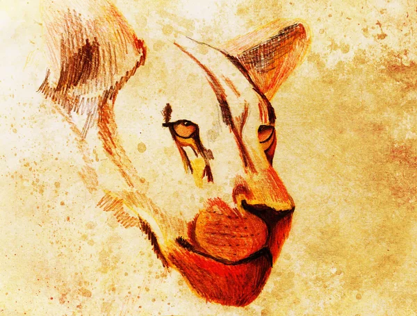 karakalem, eski kağıt, vintage kağıt ve renkli noktalar eski yapısıyla aslan.