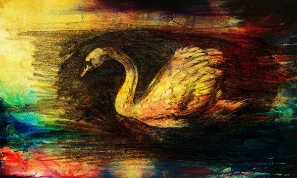 Dibujo a lápiz cisne sobre fondo de papel viejo y Color Fondo abstracto . — Foto de Stock