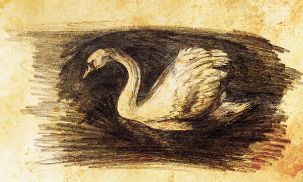 Lápiz dibujo cisne sobre fondo de papel viejo . — Foto de Stock