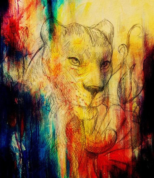 Löwin mit Blume, Bleistiftzeichnung. Farbeffekt und Computercollage. — Stockfoto