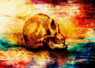 Resim kafatası kağıt ve renk etkisi.