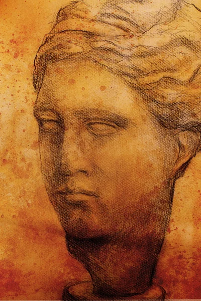 Cabeza de mujer dibujada a mano, busto de yeso dibujado. Roma Imperio mujer . —  Fotos de Stock