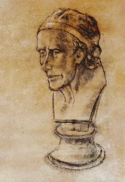Kézzel rajzolt vezetője, illusztráció fél arcát. Gipsz mellszobor ceruzával. Profil portré. Voltaire szerint Houdon mellszobra. — Stock Fotó