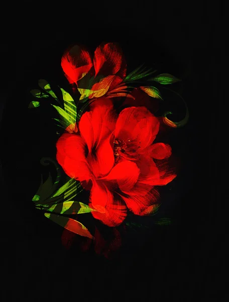 Rote Blume auf schwarzem Hintergrund. Malerei und Computercollage. — Stockfoto