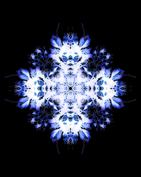 Mandala de fleurs ornementales. Collage rose. Fleur bleue sur fond noir. — Photo