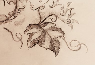 Asma yaprakları. Kağıt üzerinde süs yapı çizim.