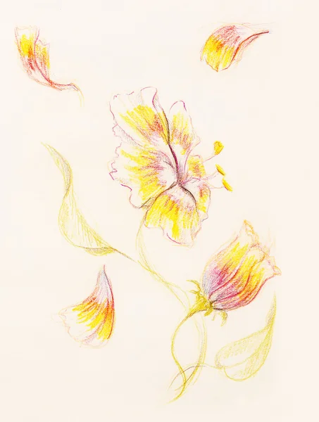 Farbzeichnung Blume. Original-Handzeichnung auf Papier. — Stockfoto