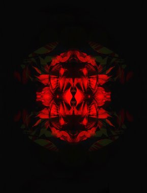 Siyah arka planda kırmızı çiçek. Resim ve bilgisayar kolajı.