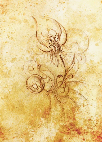 Színes rajz Dísznövény virág. Eredeti kézzel rajzolt és számítógépes kollázs. Színes szerkezete. — Stock Fotó