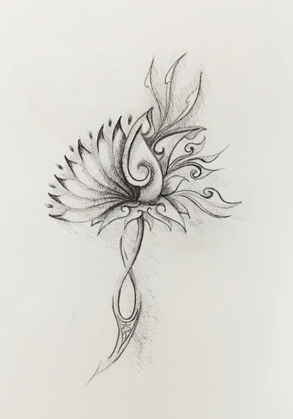 観賞用の花の構造の描画色。紙に描かれたオリジナルの手. — ストック写真