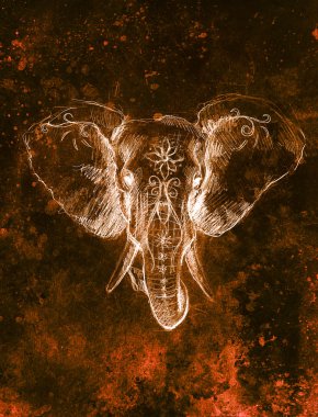 Çiçekli süslemeli fil, kağıda çizilmiş kalem. Renk efekti ve Bilgisayar kolajı.