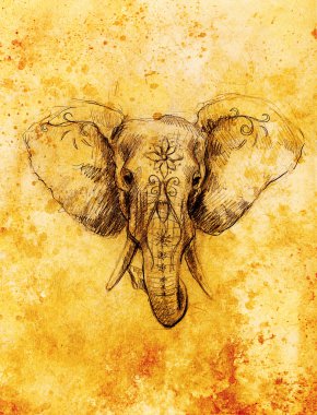 Fil ile çiçek süsleme, kalem kağıt üzerine çizim. Sepya rengi.