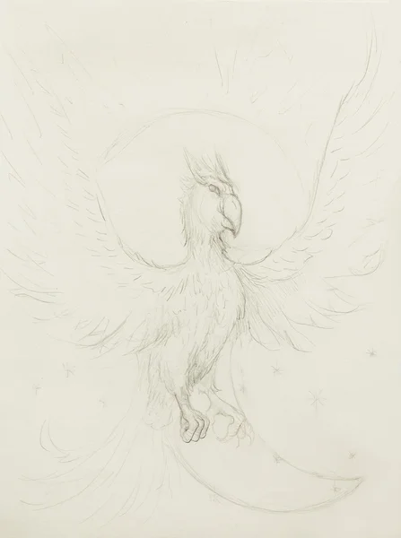 Tekening van Phoenix, handtekening op oud papier. — Stockfoto