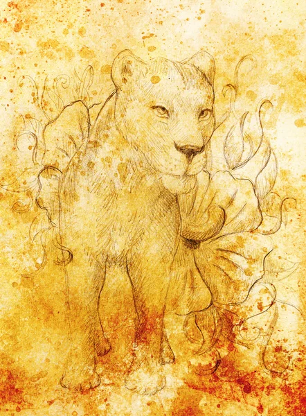 Lionne avec fleur, dessin au crayon sur papier. Effet de couleur et collage informatique . — Photo