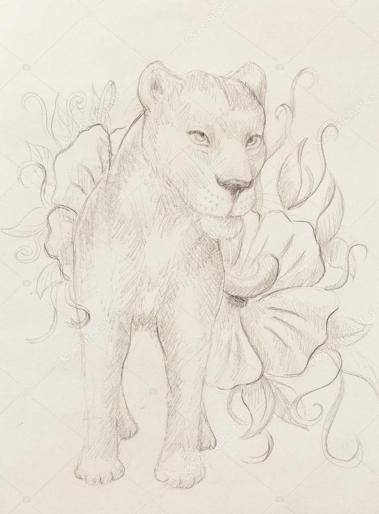 Lionne Avec Fleur Dessin Sur Papier Au Crayon