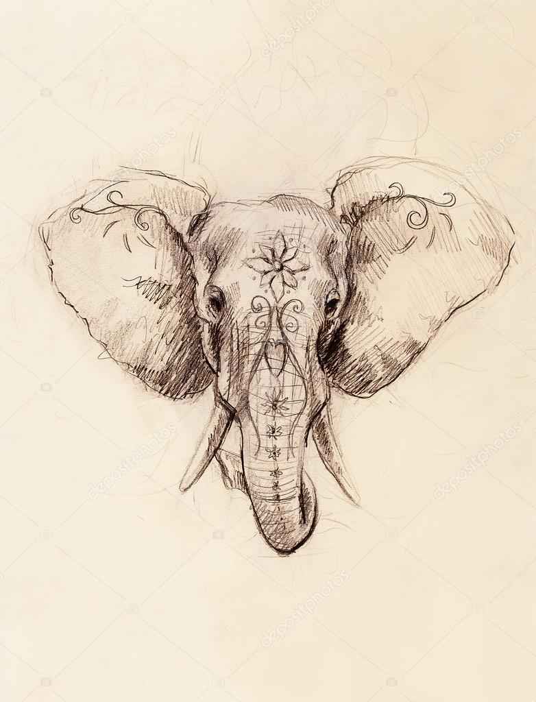 Dibujo de elefante fotos de stock, imágenes de Dibujo de elefante sin  royalties | Depositphotos