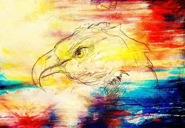 Desenho de Pássaro. colagem de computador e estrutura de cores . — Fotografia de Stock