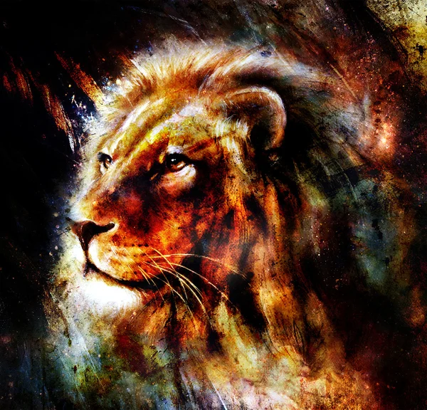 Lion painting on abstract color background. Profile portrait. — Stock Photo, Image