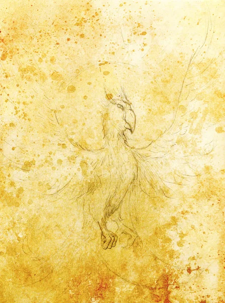 baykuş çizimi. bilgisayar kolajı ve renk yapısı.