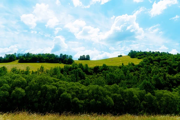 Hermoso paisaje, prado verde y árboles con hermoso cielo . —  Fotos de Stock