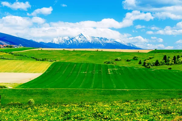 Beautiful landscape, green and yellow meadow with field and snow mountain and village. — Stock Photo, Image