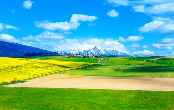 Hermoso paisaje, prado verde y amarillo con campo y nieve montaña y pueblo. Eslovaquia, Europa Central, región Liptov, Alto Tatry de montaña . —  Fotos de Stock