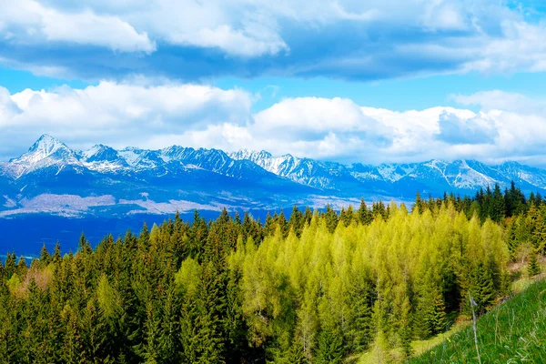 Hermoso paisaje de montañas de nieve en Eslovaquia. Montaña alta Tatry . —  Fotos de Stock