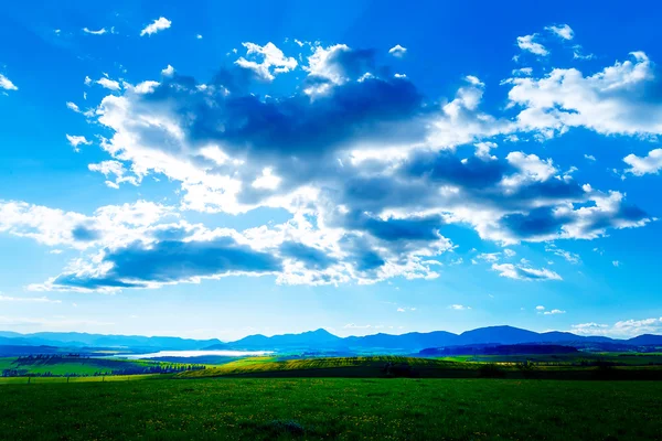 Prachtig landschap, groene en gele weide en meer met berg op de achtergrond. Slowakije, Midden-Europa. — Stockfoto