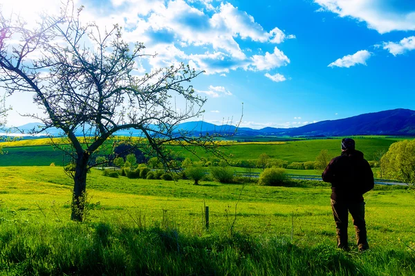 Vackert landskap, gröna och gula äng med mannen och träd. — Stockfoto