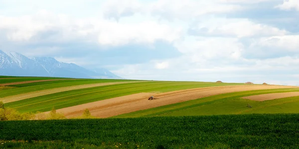 Agricultor arando el campo. Cultivando tractor en el campo. Montaña de nieve en el fondo . —  Fotos de Stock
