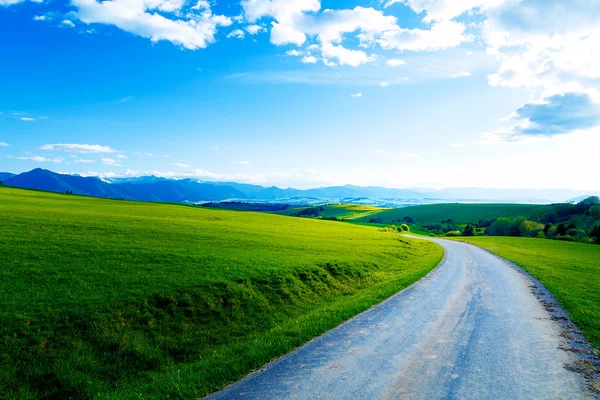 Beautiful landscape, green and yellow meadow with road. — Stock Photo, Image