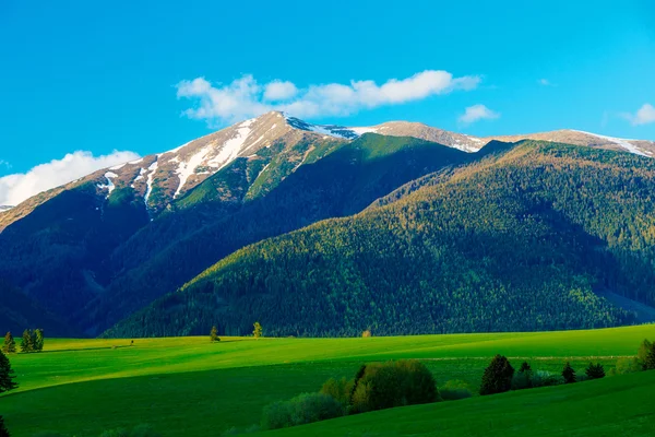 Güzel manzara, yeşil çayır ile kar dağ içinde geçmiş. Slovakya, Orta Avrupa, Liptov. Dağ yüksek Tatry. — Stok fotoğraf