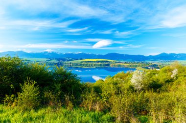 Güzel manzara, yeşil ve sarı çayır ve arka planda dağ olan göl. Slovakya, Orta Avrupa.