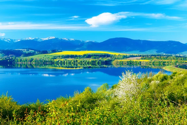 Güzel manzara, yeşil ve sarı çayır ve arka planda dağ olan göl. Slovakya, Orta Avrupa. — Stok fotoğraf