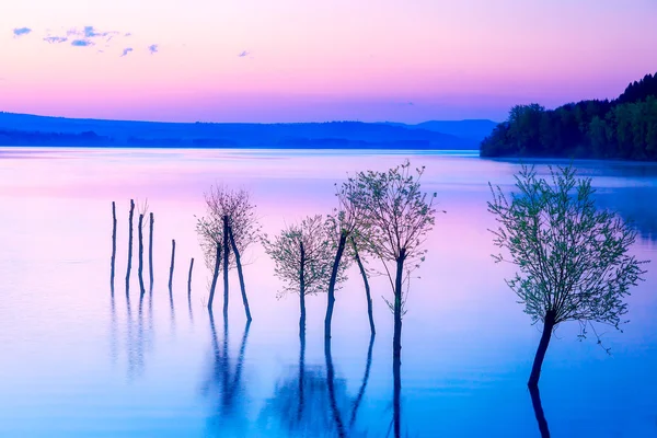 Pemandangan indah dengan danau dan pegunungan di latar belakang dan pohon-pohon di dalam air. Warna biru dan ungu . — Stok Foto
