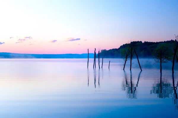 Красивый вид на озеро в тумане морнига с деревьями и мистическими горами на заднем плане в нежных фиолетово-голубых тонах, с чайками, сидящими на некоторых верхушках деревьев остатки крота . — стоковое фото