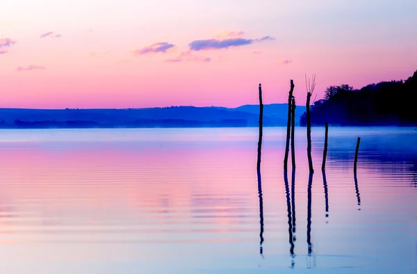 Beautiful lake view in mornig fog with trees and mystic mountains on the background in tender purple-blue tones, with seaguls sitting on some of the tree tops being the leftovers of a mole. — Stock Photo, Image