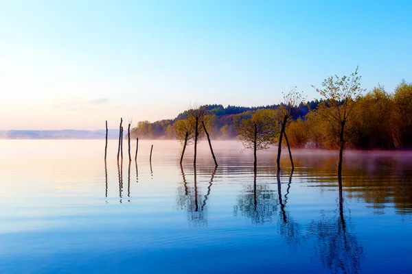 Piękne jezioro z górami w tle o wschodzie słońca. Drzewa w wodzie i rano mgły. — Zdjęcie stockowe