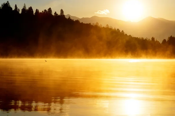 Bela paisagem com montanhas e lago ao amanhecer em tons dourados e laranja. Gaivota voadora sobre a água . — Fotografia de Stock