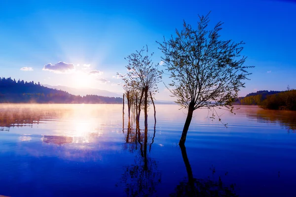 Schöner Seeblick im Morgennebel mit mystischen Bergen und Bäumen als Überbleibsel eines Maulwurfs in violett-blauen Tönen. — Stockfoto